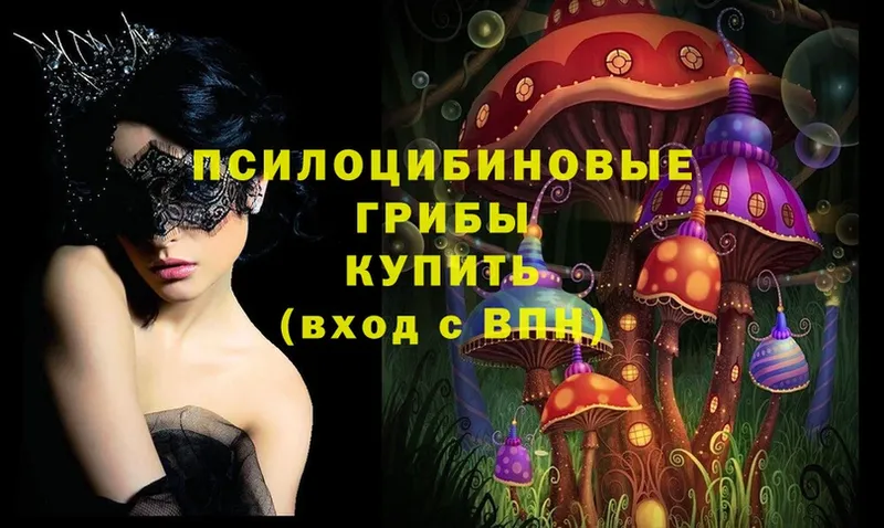 Галлюциногенные грибы Psilocybe  Костерёво 